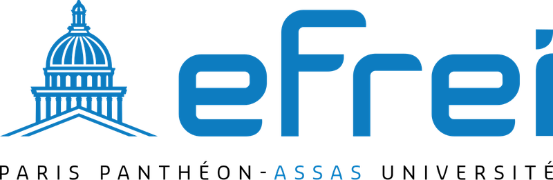 Logo EFREI Paris
